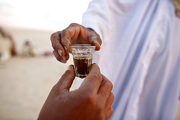 Bedouins sharing tea in the Sahara, Douz, Kebili, Tunisia, North Africa, Africa