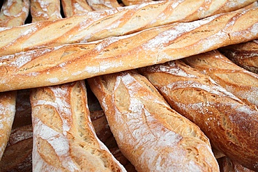 French baguettes, Paris, France, Europe