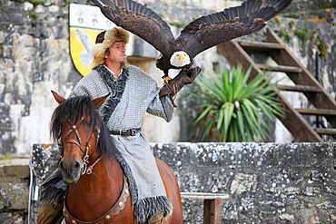 Hawker and the legend of the knights during the medieval festival of Provins, UNESCO World Heritage Site, Seine et Marne, France, Europe