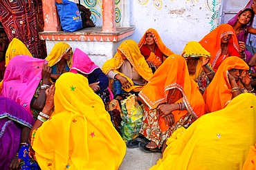 Rajasthani women, Pushkar, Rajasthan, India, Asia