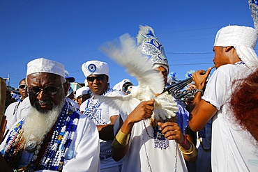 Gandhi's Sons at Lemanja's festival, Salvador, Bahia, Brazil, South America