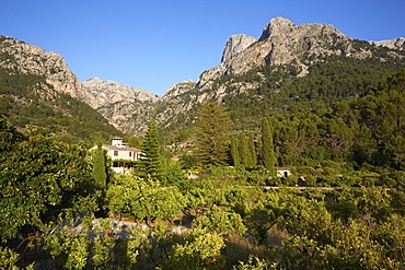 Sierra Tramontana, Majorca, Balearic Islands, Spain, Europe