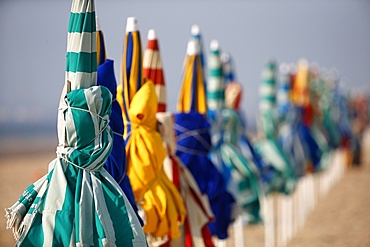 Sunshades, Trouville-sur-Mer beach, Calvados, Normandy, France, Europe