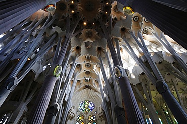 Pillars and ceiling, Sagrada Familia Basilica, Barcelona, Catalonia, Spain, Europe