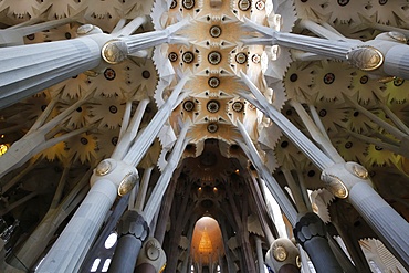 Pillars and ceiling, Sagrada Familia Basilica, Barcelona, Catalonia, Spain, Europe