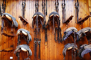 Saddles and harnesses at the Royal Andalusian School of Equestrian Art, Jerez, Andalucia, Spain, Europe