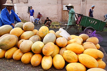 Yellow melons for sale, Marrakech, Morocco, North Africa, Africa