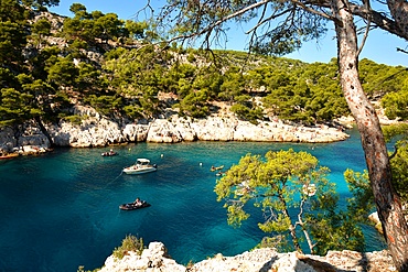 Port-Pin creek near Cassis, Bouches du Rhone, Provence, France, Europe