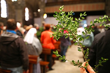 Palm Sunday, Holy Week, La Roche-sur-Foron, Haute-Savoie, France, Europe