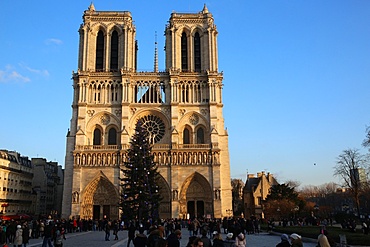 Tourists and Christmas tree outside Notre Dame de Paris Cathedral, Paris, France, Europe