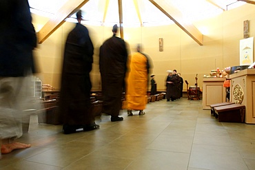 Walking meditation, Buddhist ceremony, Fo Guang Shan temple, Geneva, Switzerland, Europe