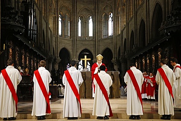 Priest ordinations at Notre-Dame de Paris cathedral, Paris, France, Europe