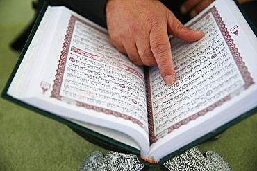 Man reading the Quran in a mosque, Bussy-Saint-Georges, Seine-et-Marne, France, Europe