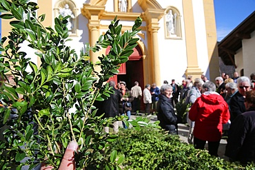 Palm Sunday Mass, Saint-Nicolas de Veroce church, Saint-Nicolas-de-Veroce, Haute-Savoie, France, Europe