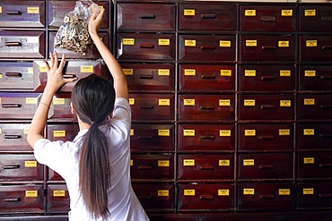 Traditional Chinese medicine pharmacy, herbal medicine therapy, Ho Chi Minh City, Vietnam, Indochina, Southeast Asia, Asia