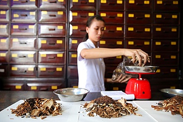 Herbal medicine therapy, traditional Chinese medicine pharmacy, Ho Chi Minh City, Vietnam, Indochina, Southeast Asia, Asia