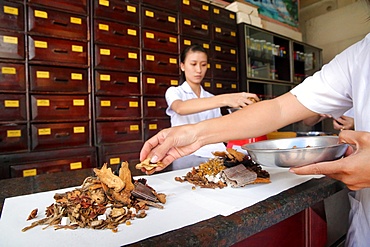 Traditional Chinese medicine pharmacy, herbal medicine therapy, Ho Chi Minh City, Vietnam, Indochina, Southeast Asia, Asia