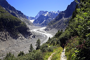 La Mer de Glace (Sea of Ice Glacier), Mont Blanc Massif, Chamonix, Haute-Savoie, French Alps, France, Europe