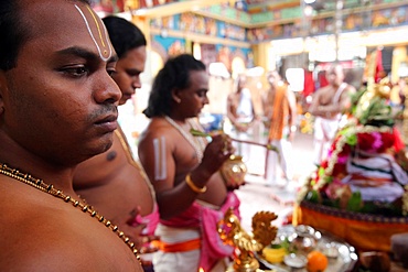 Brahmin priests, Sri Vadapathira Kaliamman Hindu Temple, Singapore, Southeast Asia, Asia