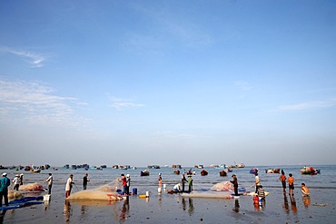 Fishing boats and women sorting fishing catch, Vung Tau Beach, Vietnam, Indochina, Southeast Asia, Asia