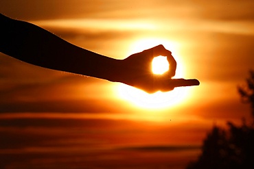 Close-up of a female hand forming a Mudra gesture used in yoga practice and meditation, Haute-Savoie, France, Europe