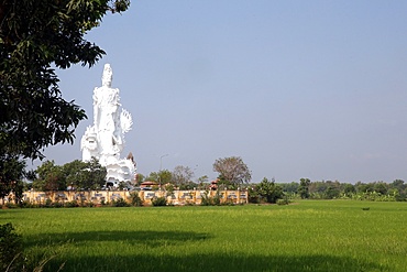 Statue of Quan Am, Bodhisattva of Compassion (Goddess of Mercy), Chua Thien Lam Go Buddhist Pagoda, Tay Ninh, Vietnam, Indochina, Southeast Asia, Asia