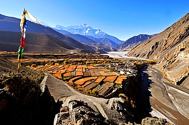 Kagbeni village and Kali Gandaki River, Mustang, Nepal, Himalayas, Asia