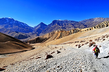 Trekker in Mustang, Nepal, Himalayas, Asia