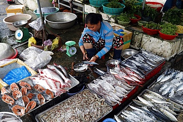 Kon Tum market, woman selling fish, Vietnam, Indochina, Southeast Asia, Asia