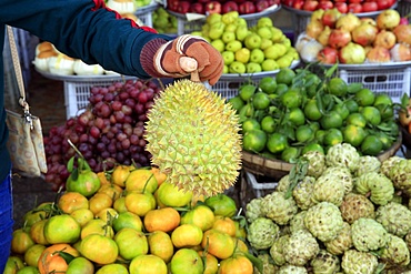 Woman buying durian from tropical fruit stall in Morning market in Duong Dong town, Phu Quoc, Vietnam, Indochina, Southeast Asia, Asia