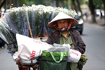 Vendor selling flowers from her mobile bicycle shop, Hanoi, Vietnam, Indochina, Southeast Asia, Asia