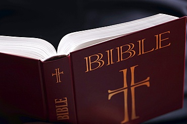 Man reading The Holy Bible, France, Europe