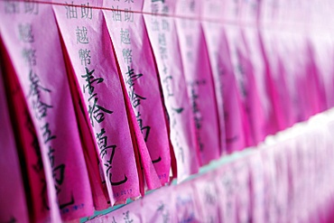 List of philanthropists at Taoist temple, Phuoc An Hoi Quan Pagoda, Ho Chi Minh City, Vietnam, Indochina, Southeast Asia, Asia