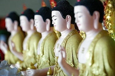 Row of Buddha statues, Hoi Tuong Te Nguoi Hoa Buddhist Chinese temple, Phu Quoc, Vietnam, Indochina, Southeast Asia, Asia