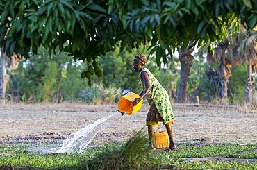 Member of a women's cooperative watering a field in Karsome, Togo, West Africa, Africa