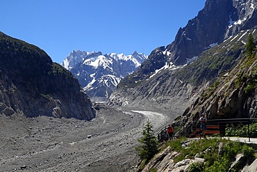 The Mer De Glace glacier which has thinned 150 meters since 1820, and retreated by 2300 meters, Mont Blanc Massif, Haute-Savoie, French Alps, France, Europe