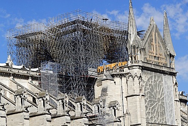 Consolidation work after the fire, Notre Dame de Paris Cathedral, Paris, France, Europe