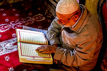 Macedonian Muslim reading the Koran, Pasha Mosque, the painted mosque of Tetovo, Republic of Macedonia, Europe