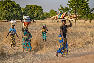 Togolese women walking in Savanes province, Togo, West Africa, Africa