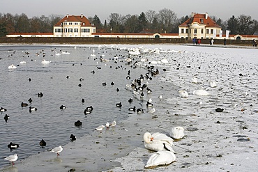 Nymphenburg frozen canal, Munich, Bavaria, Germany, Europe