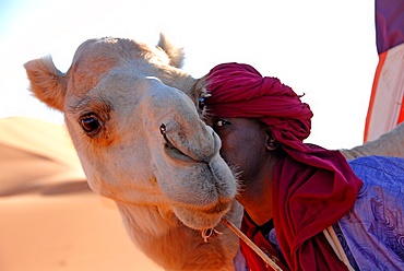 Tuareg and dromedary, Sebha, Ubari, Libya, North Africa, Africa