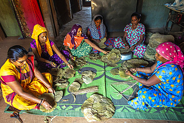 Group of Adivasi women making leaf plates in a village in Narmada district, Gujarat, India, Asia