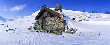 Dog outside snow covered stone hut at Raggsteindalen, Skarvheimen, Hallingdal, Norway, Scandinavia, Europe