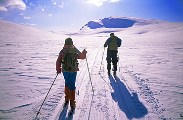 Track from Smuksjoseter toward Formokampen, Rondane National Park, Norway, Scandinavia, Europe