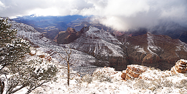 Snowy Grand Canyon Panoramic, low clouds, dramatic sky, snow, rock strata, USA.