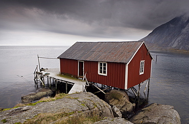 Rorbu (fisherman's hut) on stilts by fjord, Lofoten Islands, Norway, Scandinavia, Europe