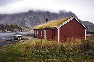 Rorbu (fisherman's hut) with grass roof by fjord, Lofoten Islands, Norway, Scandinavia, Europe