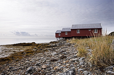 Three fishermen's cabins (rorbuer), Lofoton Islands, Norway, Scandinavia, Europe