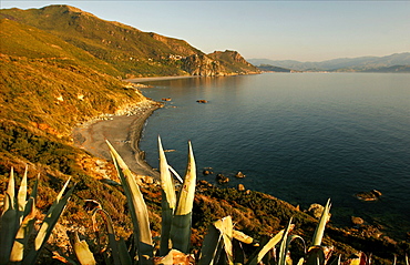 The Gulf of Nonza in Cap-Corse, Corsica, France, Mediterranean, Europe