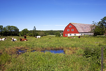 A big farm on the archipelago of Aland, Finland, Scandinavia, Europe